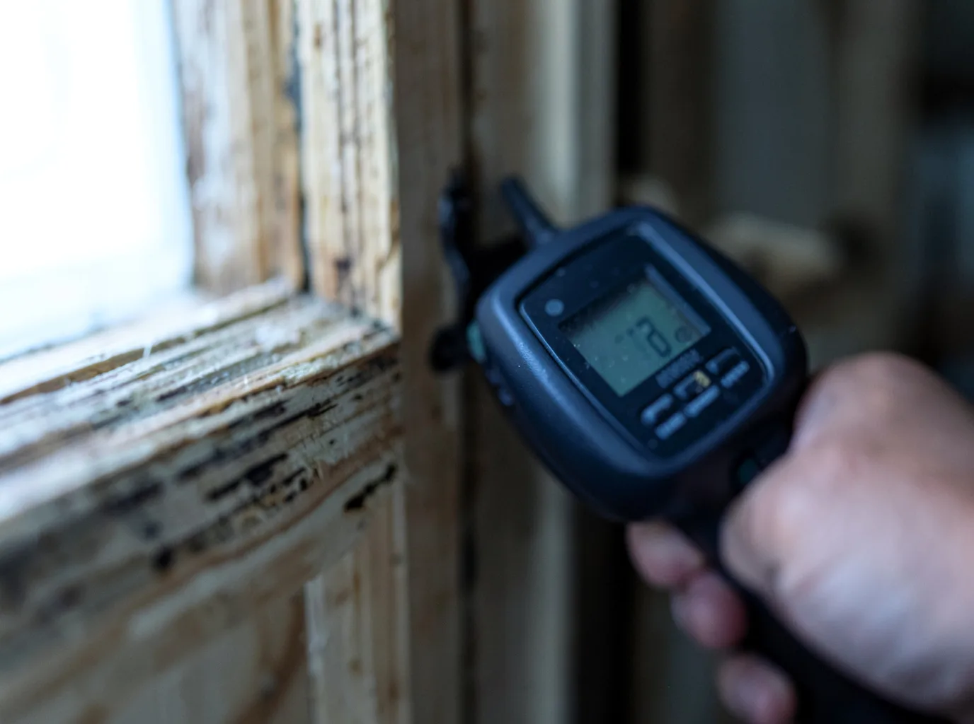 Moisture Inspection And Documentation in Westmorland, CA